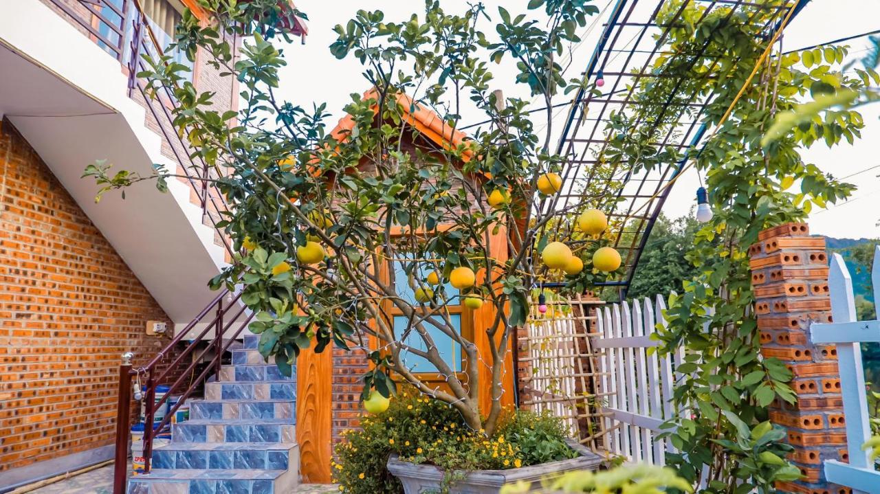 Cosiana Homestay Ninh Bình Extérieur photo