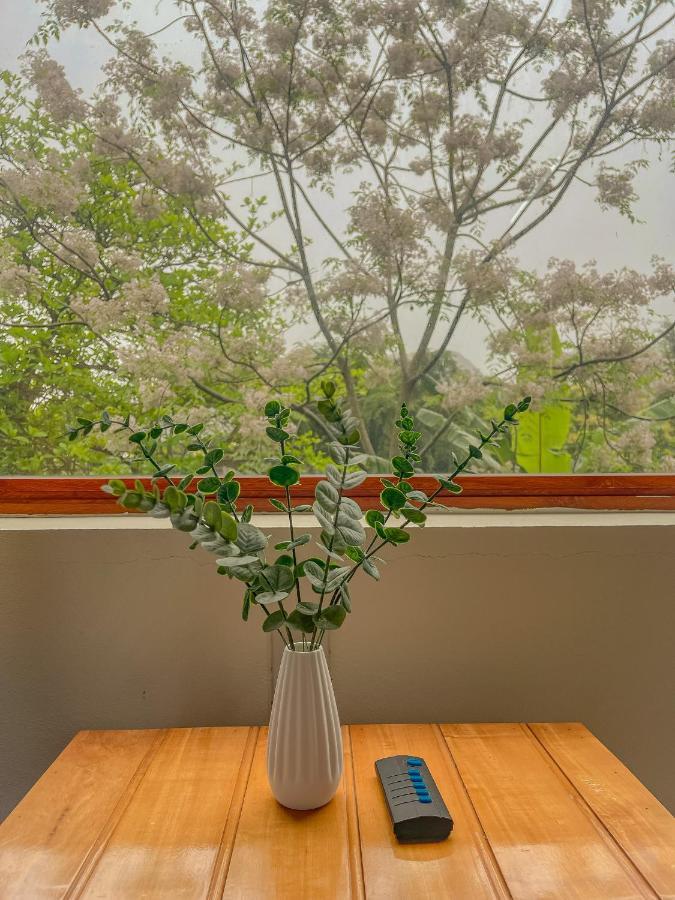 Cosiana Homestay Ninh Bình Extérieur photo